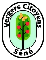 Logo VCS